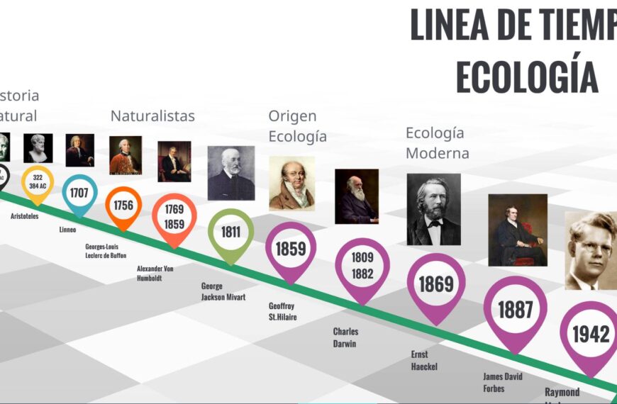 Línea del tiempo de la Ecología ■ Historia ■ Antecedentes